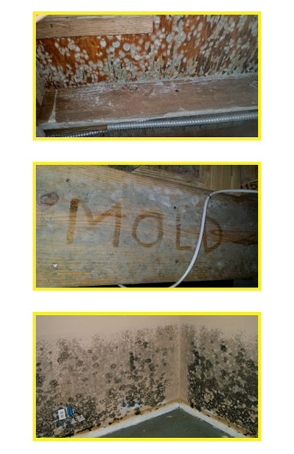 mold-&-moisture-control-in-lexington-sc